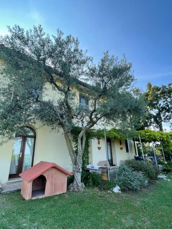B&B Il Melograno Monzambano Exterior foto